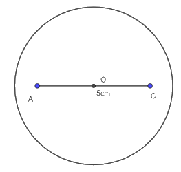 Trả lời Vận dụng 5 trang 84 SGK Toán 6 Chân trời sáng tạo 5