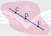 Trắc nghiệm Ba điểm thẳng hàng Toán 2 chân trời sáng tạo 0 2