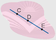 Trắc nghiệm Ba điểm thẳng hàng Toán 2 chân trời sáng tạo 0 19