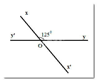 Trắc nghiệm Bài 1: Các góc ở vị trí đặc biệt Toán 7 Chân trời sáng tạo 0 2