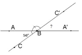 Trắc nghiệm Bài 1: Các góc ở vị trí đặc biệt Toán 7 Chân trời sáng tạo 0 13