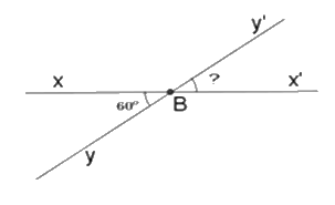 Trắc nghiệm Bài 1: Các góc ở vị trí đặc biệt Toán 7 Chân trời sáng tạo 0 15