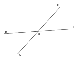 Trắc nghiệm Bài 1: Các góc ở vị trí đặc biệt Toán 7 Chân trời sáng tạo 0 7