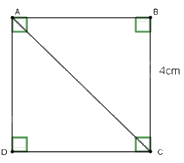Trắc nghiệm Bài 1: Định lí Pythagore Toán 8 Chân trời sáng tạo 0 12