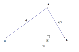 Trắc nghiệm Bài 1: Định lí Pythagore Toán 8 Chân trời sáng tạo 0 19