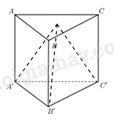 Trắc nghiệm Bài 1: Hình chóp tam giác đều Toán 8 Cánh diều 0 2
