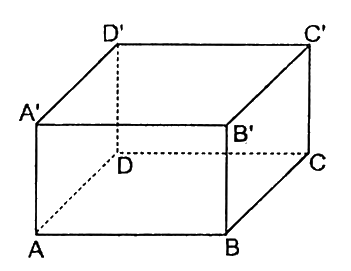 Trắc nghiệm Bài 1: Hình hộp chữ nhật. Hình lập phương Toán 7 Cánh diều 0 12