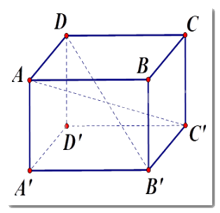 Trắc nghiệm Bài 1: Hình hộp chữ nhật. Hình lập phương Toán 7 Cánh diều 0 8