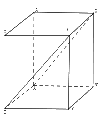 Trắc nghiệm Bài 1: Hình hộp chữ nhật. Hình lập phương Toán 7 Cánh diều 0 9