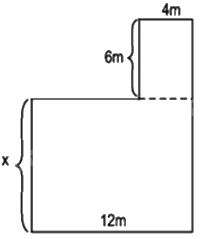 Trắc nghiệm Bài 1: Phương trình bậc nhất một ẩn Toán 8 Cánh diều 0 5