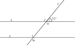 Trắc nghiệm Bài 10: Tiên đề Euclid. Tính chất của các đường thẳng song song Toán 7 Kết nối tri thức 0 35