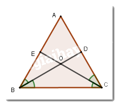 Trắc nghiệm Bài 14: Trường hợp bằng nhau thứ hai và thứ ba của tam giác Toán 7 Kết nối tri thức 0 4
