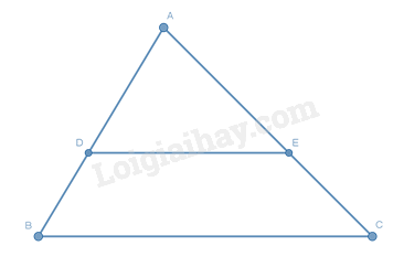 Trắc nghiệm Bài 15: Định lí Thalès trong tam giác Toán 8 Kết nối tri thức 0 1
