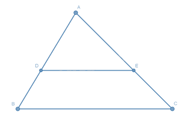 Trắc nghiệm Bài 15: Định lí Thalès trong tam giác Toán 8 Kết nối tri thức 0 15