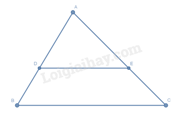 Trắc nghiệm Bài 15: Định lí Thalès trong tam giác Toán 8 Kết nối tri thức 0 3