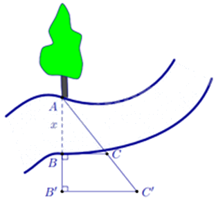 Trắc nghiệm Bài 15: Định lí Thalès trong tam giác Toán 8 Kết nối tri thức 0 31