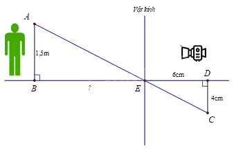 Trắc nghiệm Bài 15: Định lí Thalès trong tam giác Toán 8 Kết nối tri thức 0 5