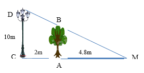 Trắc nghiệm Bài 15: Định lí Thalès trong tam giác Toán 8 Kết nối tri thức 0 8