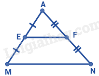 Trắc nghiệm Bài 16: Đường trung bình của tam giác Toán 8 Kết nối tri thức 0 2
