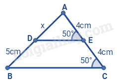Trắc nghiệm Bài 16: Đường trung bình của tam giác Toán 8 Kết nối tri thức 0 4