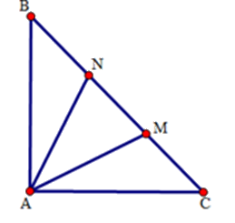 Trắc nghiệm Bài 16: Tam giác cân. Đường trung trực của đoạn thẳng Toán 7 Kết nối tri thức với cuộc sống 0 11
