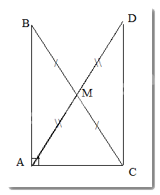Trắc nghiệm Bài 16: Tam giác cân. Đường trung trực của đoạn thẳng Toán 7 Kết nối tri thức với cuộc sống 0 6