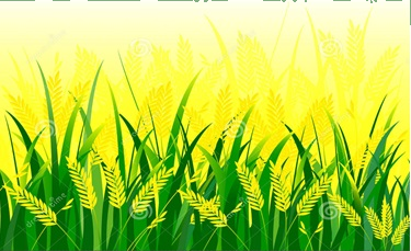 Trắc nghiệm Bài 17: Bài toán liên quan đến rút về đơn vị Toán 4 Cánh diều 0 13