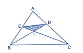 Trắc nghiệm Bài 17: Tính chất đường phân giác của tam giác Toán 8 Kết nối tri thức 0 24