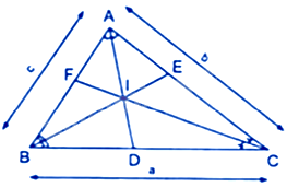 Trắc nghiệm Bài 17: Tính chất đường phân giác của tam giác Toán 8 Kết nối tri thức 0 26