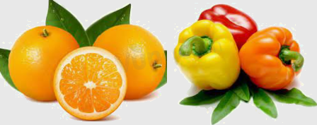 Trắc nghiệm Bài 2: Các phép tính với số thập phân Toán 6 Chân trời sáng tạo 0 9