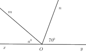 Trắc nghiệm Bài 2: Tia phân giác của một góc Toán 7 Cánh diều 0 6