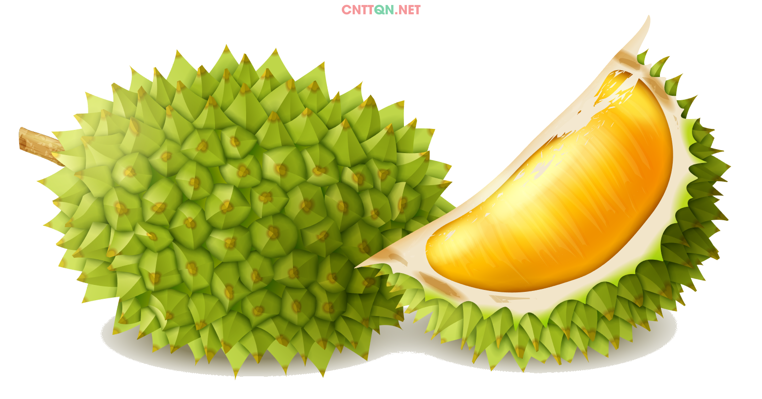 Trắc nghiệm Bài 26: Chia số có hai chữ số cho số có một chữ số Toán 3 Kết nối tri thức 0 7