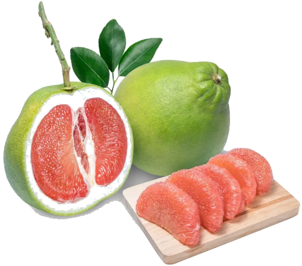 Trắc nghiệm Bài 27: Giảm một số đi một số lần Toán 3 Kết nối tri thức 0 4