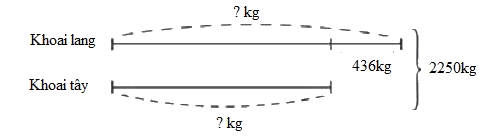 Trắc nghiệm Bài 29: Tìm hai số khi biết tổng và hiệu của hai số đó Toán 4 Cánh diều 0 21