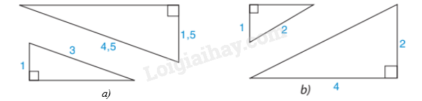 Trắc nghiệm Bài 3: Các trường hợp đồng dạng của hai tam giác vuông Toán 8 Chân trời sáng tạo 0 1