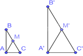 Trắc nghiệm Bài 3: Các trường hợp đồng dạng của hai tam giác vuông Toán 8 Chân trời sáng tạo 0 34