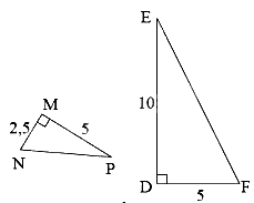 Trắc nghiệm Bài 3: Các trường hợp đồng dạng của hai tam giác vuông Toán 8 Chân trời sáng tạo 0 6