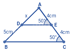 Trắc nghiệm Bài 3: Đường trung bình của tam giác Toán 8 Cánh diều 0 5