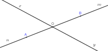 Trắc nghiệm Bài 3: Hai đường thẳng cắt nhau, song song. Tia Toán 6 Chân trời sáng tạo 0 35