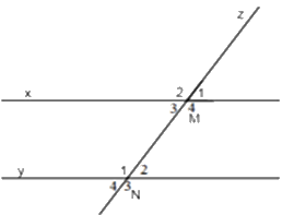 Trắc nghiệm Bài 3: Hai đường thẳng song song Toán 7 Chân trời sáng tạo 0 14