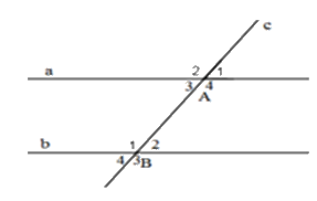 Trắc nghiệm Bài 3: Hai đường thẳng song song Toán 7 Chân trời sáng tạo 0 45