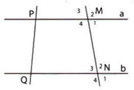 Trắc nghiệm Bài 3: Hai đường thẳng song song Toán 7 Chân trời sáng tạo 0 46
