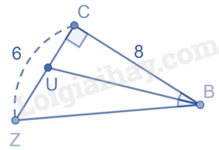 Trắc nghiệm Bài 3: Tính chất đường phân giác của tam giác Toán 8 Chân trời sáng tạo 0 7