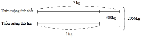 Trắc nghiệm Bài 30: Luyện tập chung Toán 4 Cánh diều 0 31