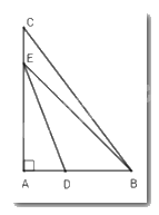 Trắc nghiệm Bài 32: Quan hệ đường vuông góc và đường xiên Toán 7 Kết nối tri thức 0 5