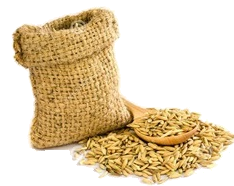 Trắc nghiệm Bài 34: Ôn tập phép cộng, phép trừ Toán 4 Kết nối tri thức 0 4