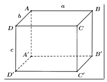 Trắc nghiệm Bài 36: Hình hộp chữ nhật và hình lập phương Toán 7 Kết nối tri thức 0 4