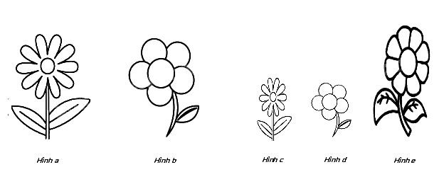 Trắc nghiệm Bài 37: Hình đồng dạng Toán 8 Kết nối tri thức 0 16