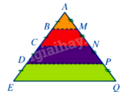Trắc nghiệm Bài 37: Hình đồng dạng Toán 8 Kết nối tri thức 0 34