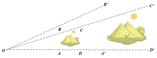 Trắc nghiệm Bài 37: Hình đồng dạng Toán 8 Kết nối tri thức 0 35